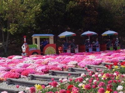 田原のサンテパルク