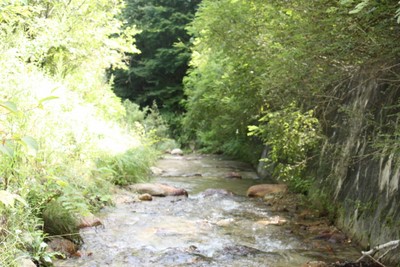 キャンプでお疲れ!