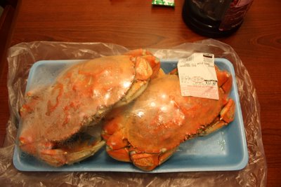 アメリカに来ちゃった!