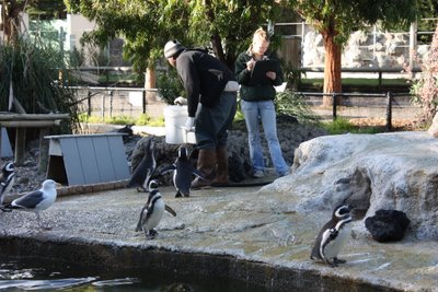 アメリカライフ 満喫中