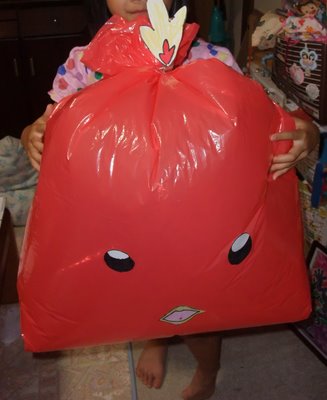 袋のお化け?ポケモン?