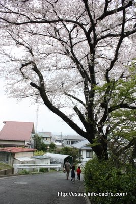 小学校に入学しました。