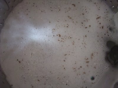 洗濯機を洗おう!