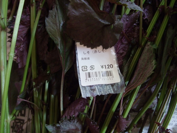 赤紫蘇 梅干作り