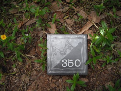 フルーツバット 350