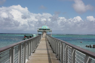 フィッシュアイ展望台に続く橋