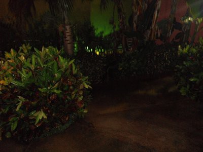 ターザ看板の左側の植え込みにある