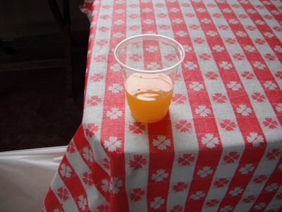 ココパームビーチ ウェルカム ジュース