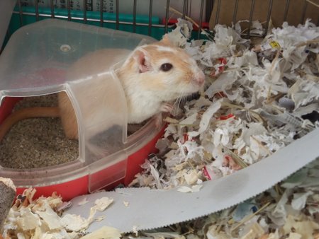 トイレにて トイレにて